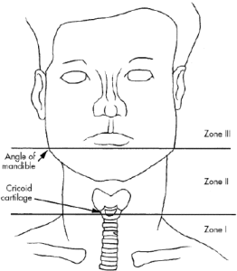 neck.zones